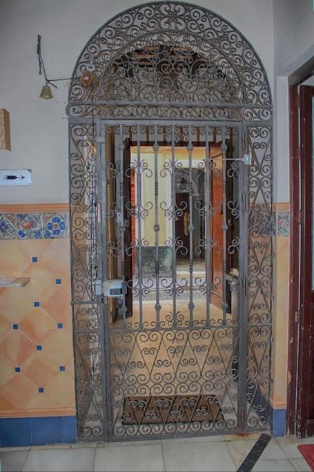 Penthouse With Large Terrace In Center Of Cadiz Apartment Екстериор снимка