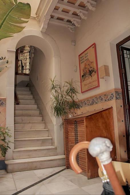 Penthouse With Large Terrace In Center Of Cadiz Apartment Екстериор снимка