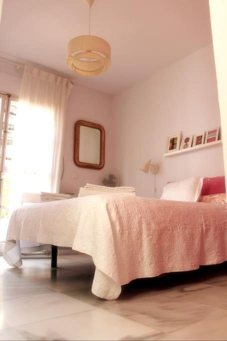 Penthouse With Large Terrace In Center Of Cadiz Apartment Екстериор снимка